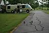GMC_Hamilton_13_17.jpg