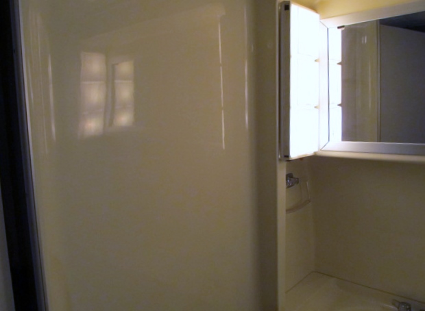 medicine cabinet (left half)