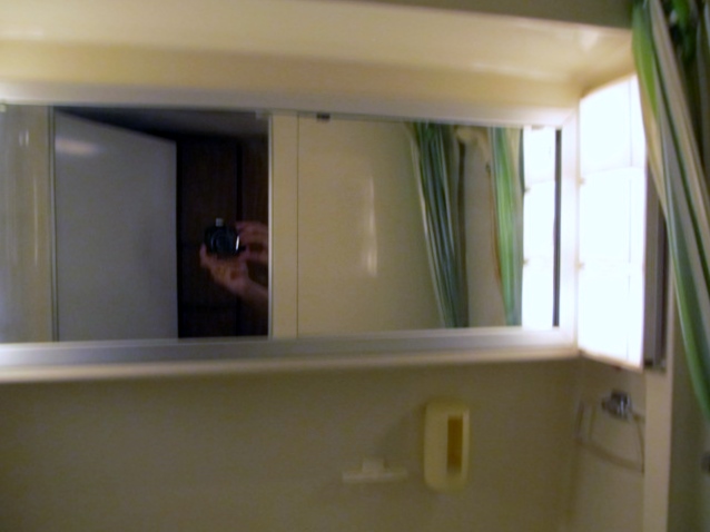 medicine cabinet (right half)