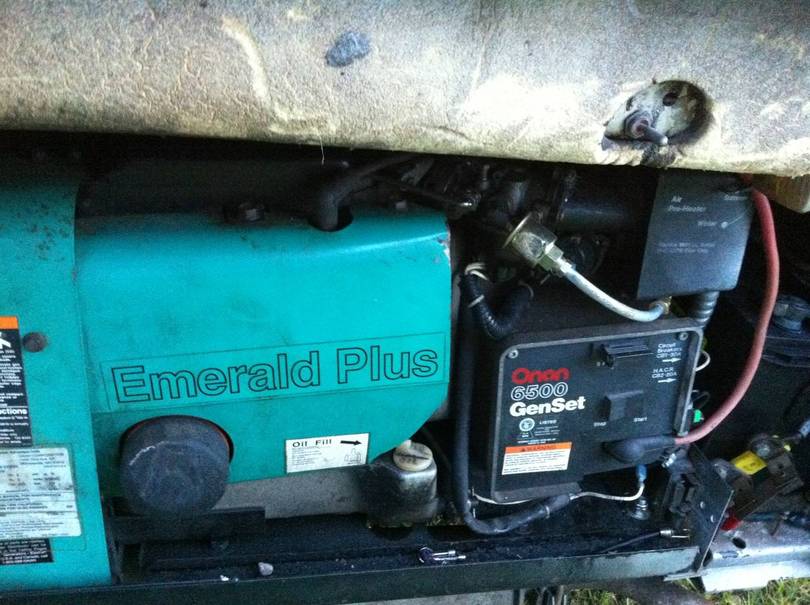 First rose colored look