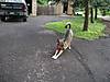 IMGP6376-small.jpg