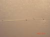 DSC02595.JPG