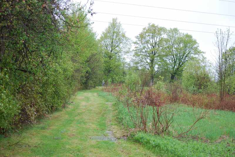 Before Starting Road on West Side of Barn 3