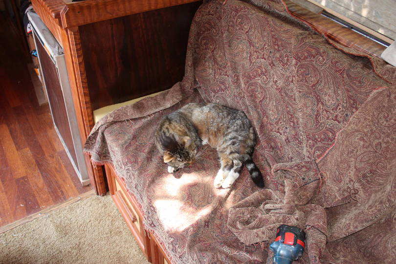 Interior work continues