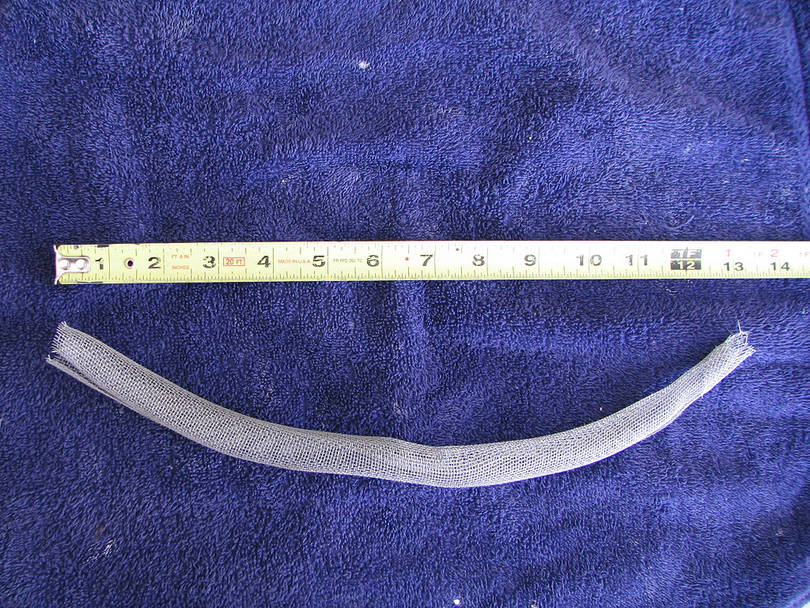 Screen Gasket 2