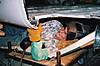 635_p8043.jpg