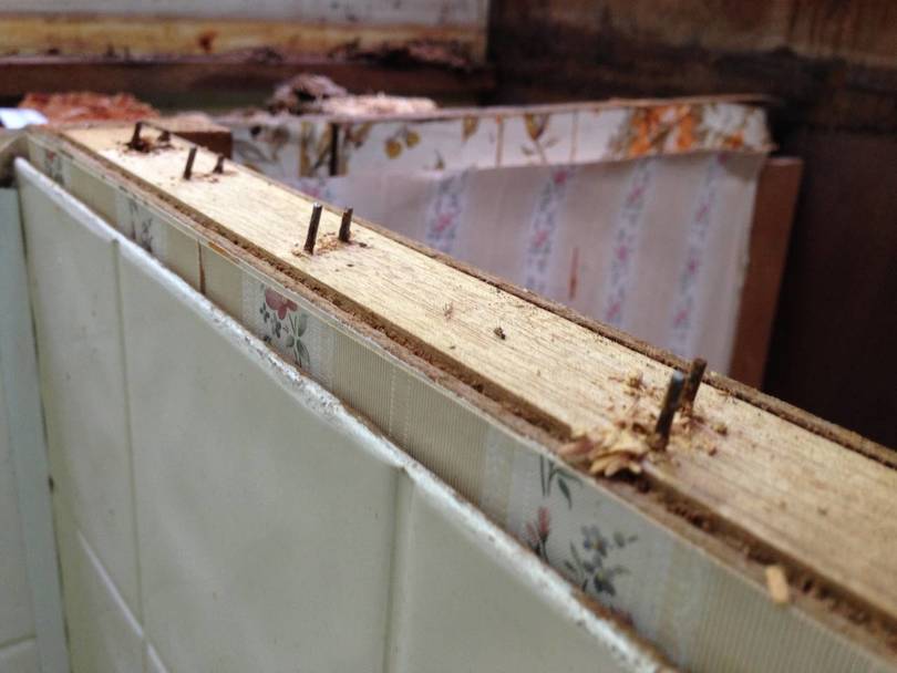 sink edge staples