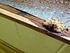 front_edge_screws.JPG