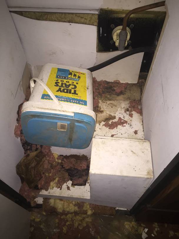 Tall closet across from bath