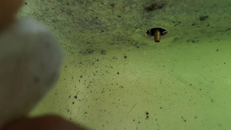 Hose barb on drain valve