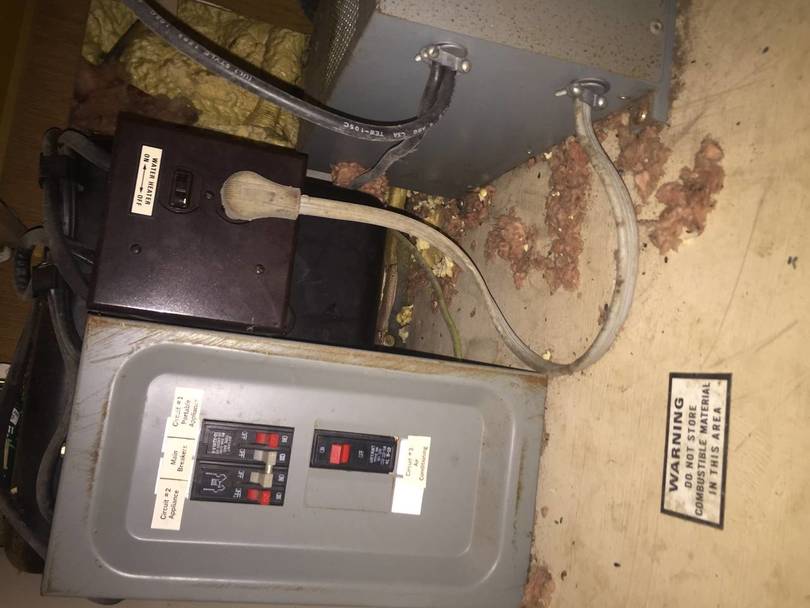 September 2018 Interior