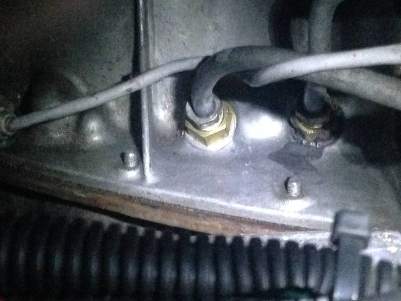 Odd trans leak