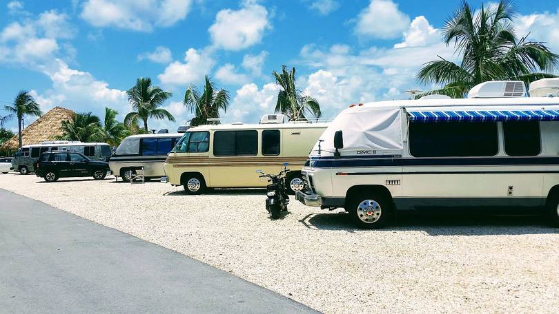 More Coaches at the Rally