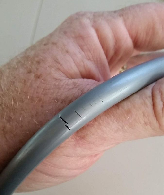 holes in the offending water line